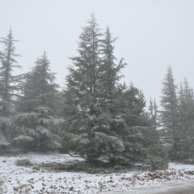 Manisa'da mevsimin ilk kar yağışı
