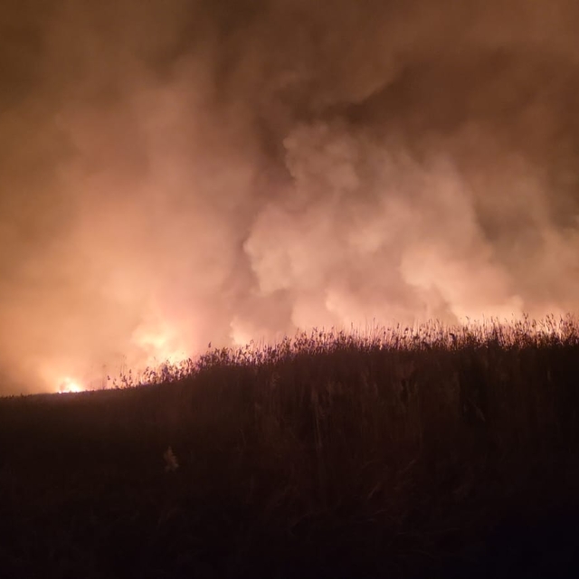 Kayseri'deki Sultan Sazlığı Milli Parkı'nda yangın çıktı