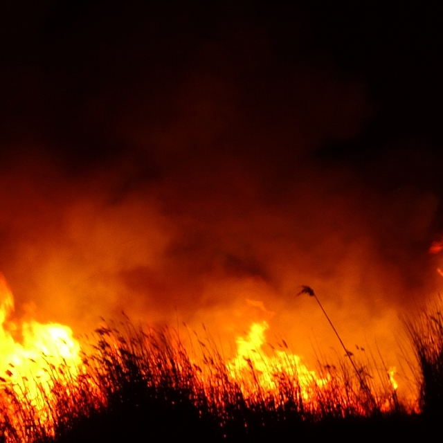 Kayseri'de Sultan Sazlığı Milli Parkı'ndaki yangın 3 saatte söndürüldü