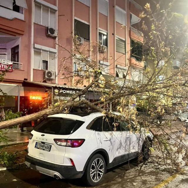 Antalya'da fırtına ağaçları devirdi, seraları yıktı