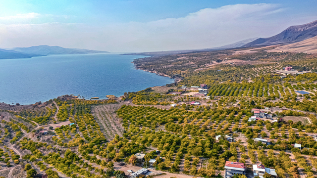 Galeri