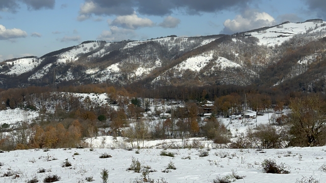 Galeri