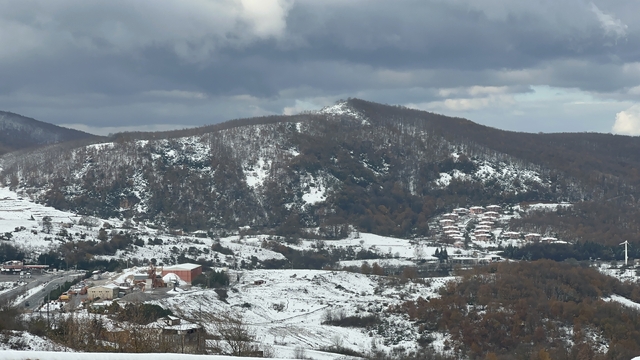 Galeri