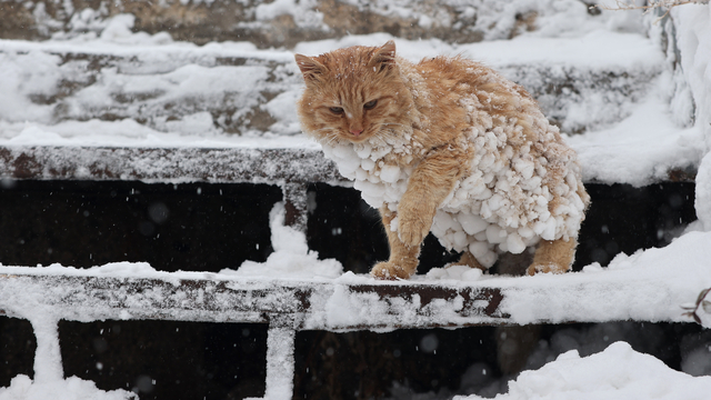Kapadokya'da turistler karın keyfini yaşadı