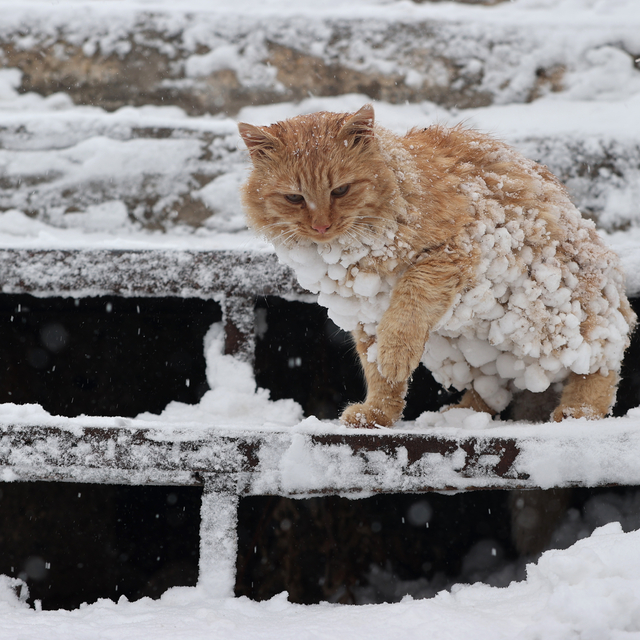 Kapadokya'da turistler karın keyfini yaşadı
