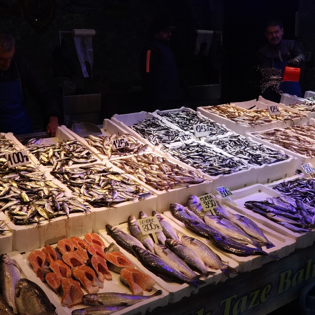 Trabzon'da hamsi bolluğu