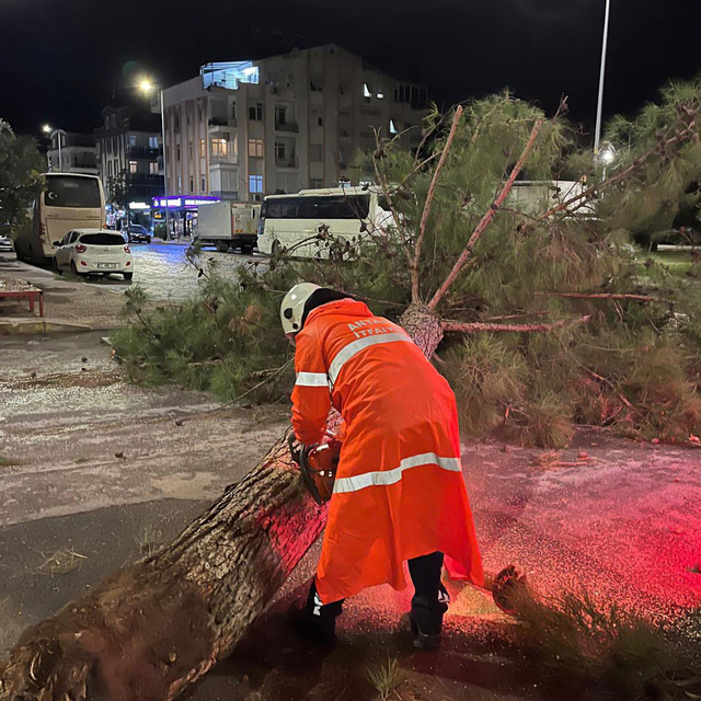 Antalya'da fırtına ağaçları devirdi, seraları yıktı (2)