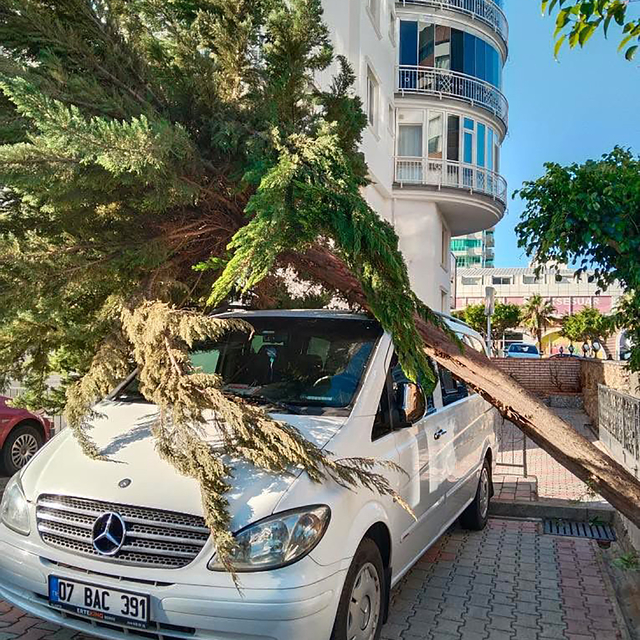 Alanya'da fırtına ev ve seralara zarar verdi