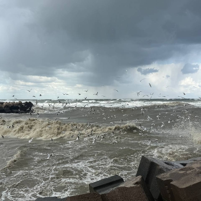 Sakarya'da olumsuz hava şartları nedeniyle balıkçılar denize açılamadı