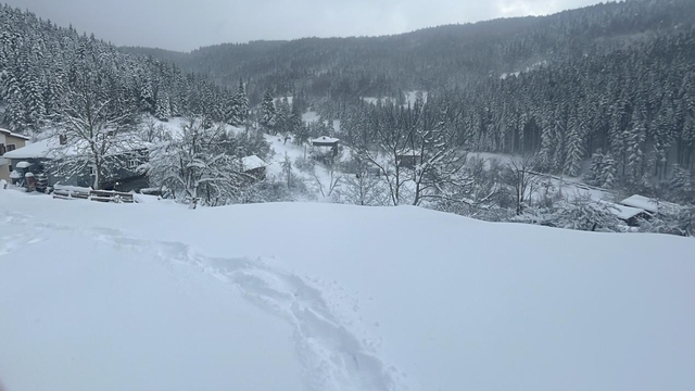 Kastamonu'nun ilçelerinde kar yağışı etkili oluyor