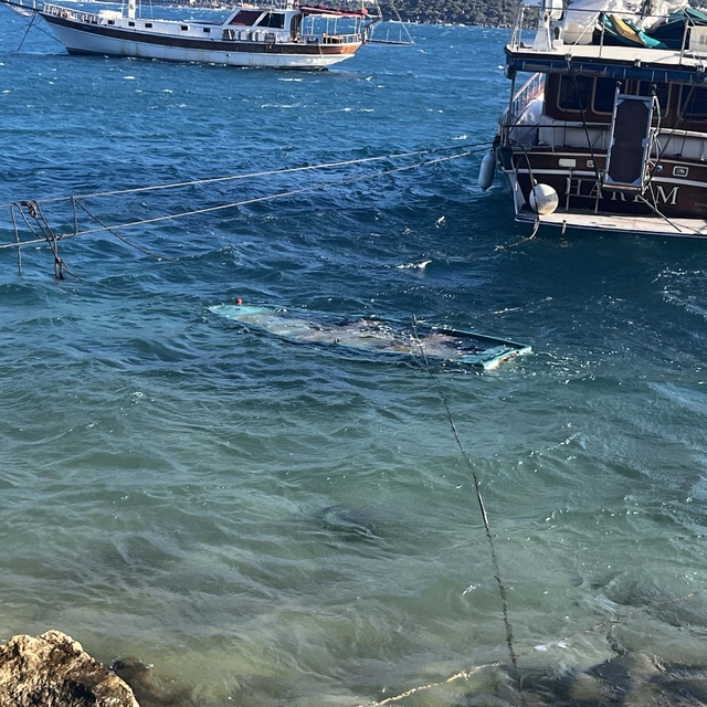 Bodrum'da fırtına; ağaçlar devrildi, balıkçı teknesi battı