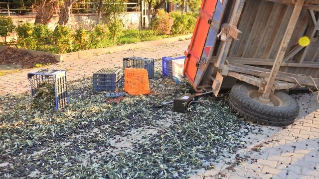 Balıkesir'de zeytin işçilerini taşıyan traktör römorkunun devrilmesi sonucu 5 kişi yaralandı