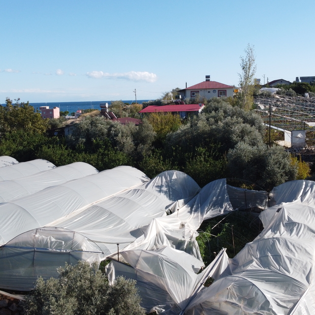 Mersin'de fırtına seralara zarar verdi