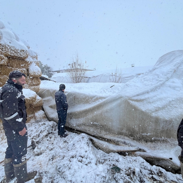 Çankırı'da yoğun kar yağışı nedeniyle içinde büyükbaş hayvanların olduğu ça...