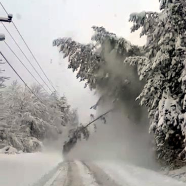 Bolu kent merkezinde kar kalınlığı 28 santimetreye ulaştı (4)