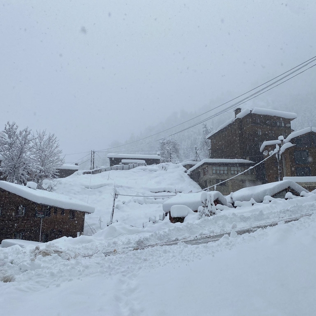 Uzungöl ve Ayder'de kar güzelliği