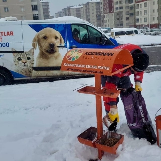 Kayseri'de kar yağışı nedeniyle yiyecek sıkıntısı çeken hayvanlar için doğa...