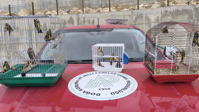Şanlıurfa'da operasyonda ele geçirilen 20 saka kuşu doğaya salındı