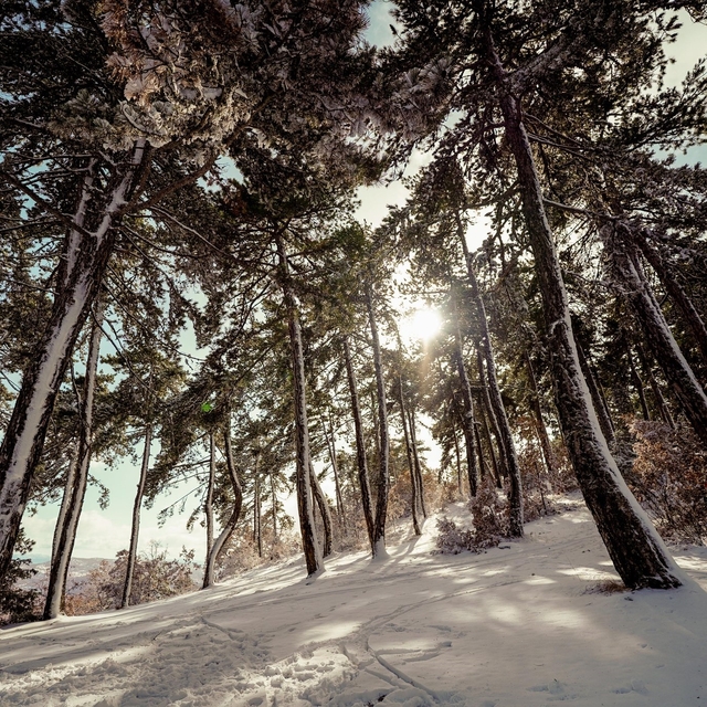 Kızılcahamam'ın doğası kar yağışının ardından görüntülendi