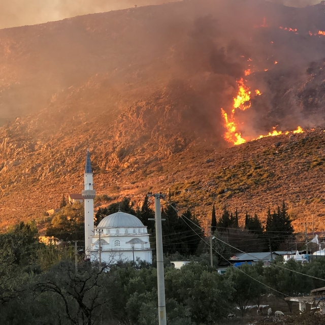 Muğla'da makilik alanda çıkan yangın kontrol altına alındı