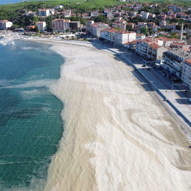 Prof. Dr. Tecer: Marmara'da müsilajın deniz yüzeyine çıkması muhtemel
