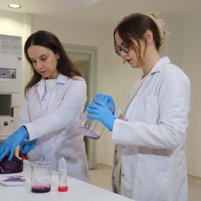 Mor lahanadan bitkisel ruj ve allık üretecek