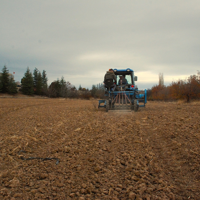 Eskişehir'de çoğaltılan ata tohumları bölge çiftçisinin hizmetine sunuluyor