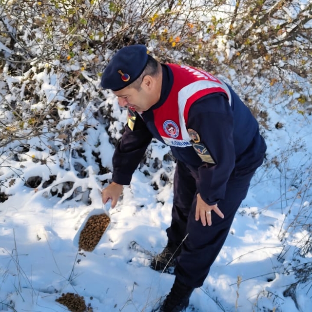 Yozgat'ta jandarma yaban hayvanlarına yem bıraktı