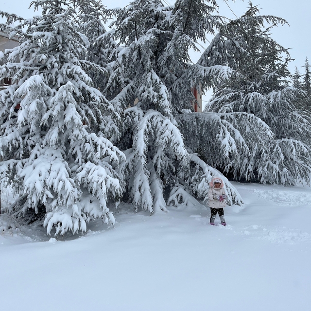 Yozgat, Kayseri ve Nevşehir'de kar yağışı etkisini sürdürüyor