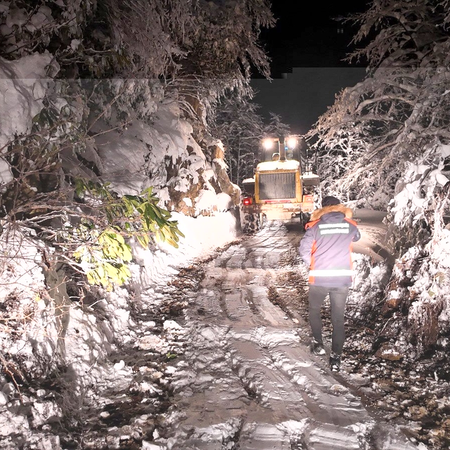 Trabzon'da yaylada hayvanlarıyla mahsur kalan besiciler kurtarıldı