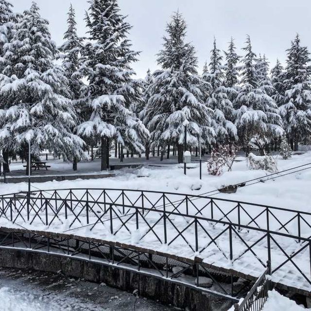 Kayseri'den kısa kısa