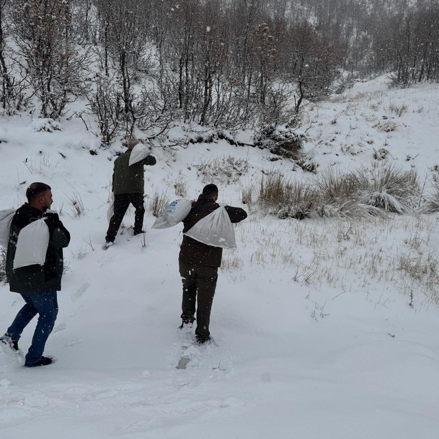Siirt'te yaban hayvanları için doğaya yem bırakıldı