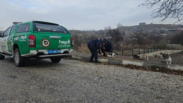 Karakeçili'de jandarma ekipleri kedi ve köpekler için sokaklara mama bıraktı