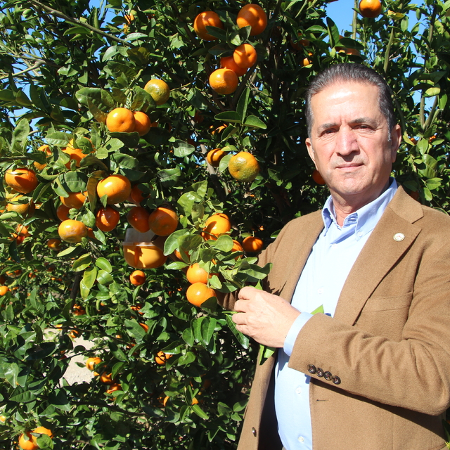 'İlaç kalıntılı mandalinalar Bulgaristan sınırında imha edildi'