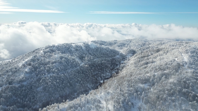Kartepe'de kar güzelliği