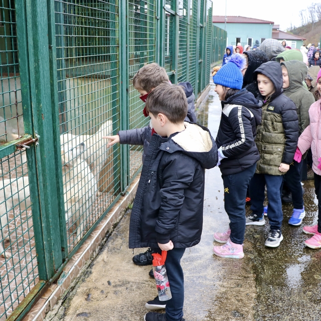 Trabzon'da "iyilik timi"ndeki öğrenciler barınaktaki köpekleri besledi