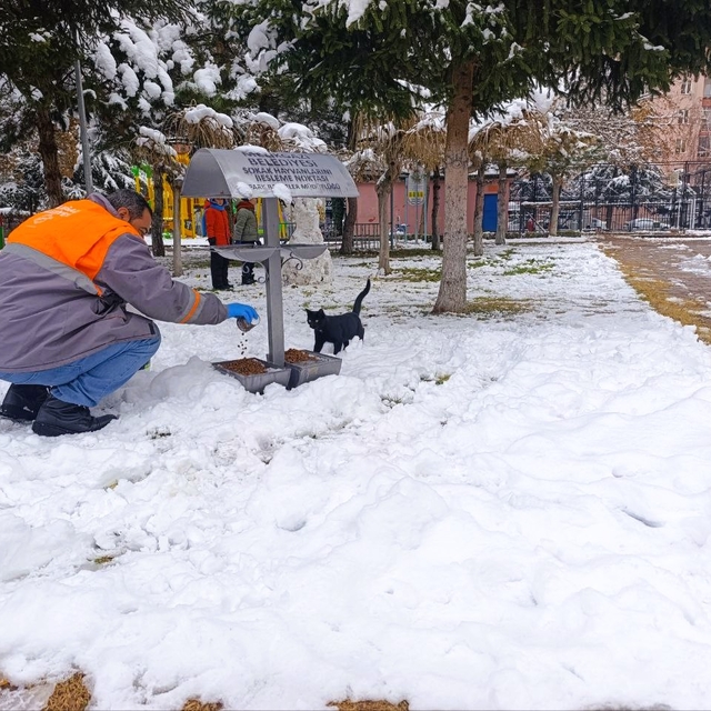 Melikgazi Belediyesinden sahipsiz hayvanlara mama desteği