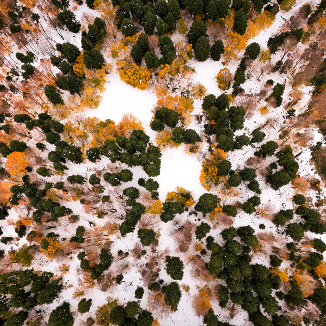 Sakarya, Bolu ve Düzce'nin yüksek kesimlerini kaplayan kar havadan görüntül...