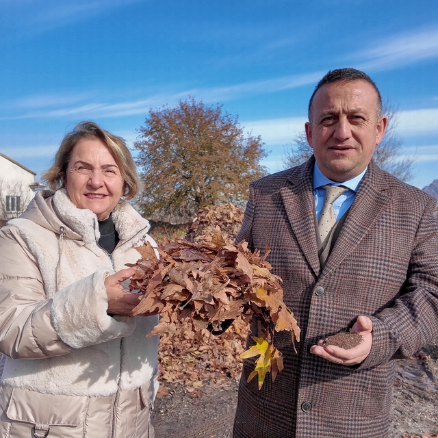 Tokat'ta sokaklara dökülen ağaç yaprakları ekonomiye kazandırılacak