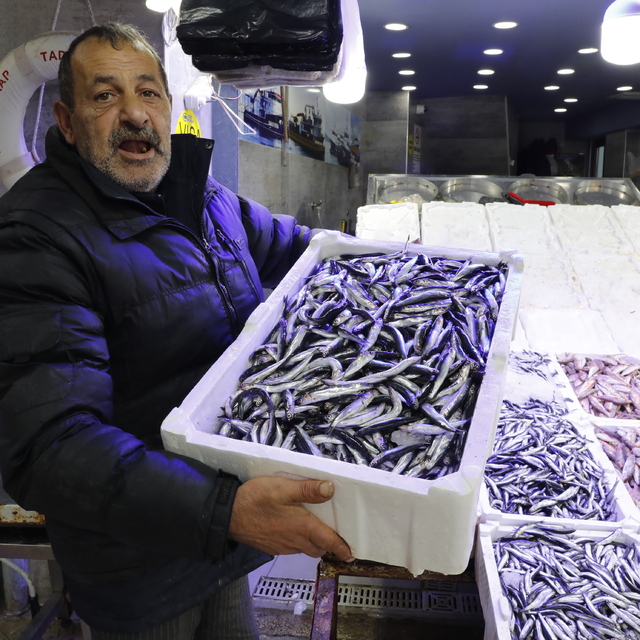 Samsun'da hamsinin kilosu 100 liradan satılıyor