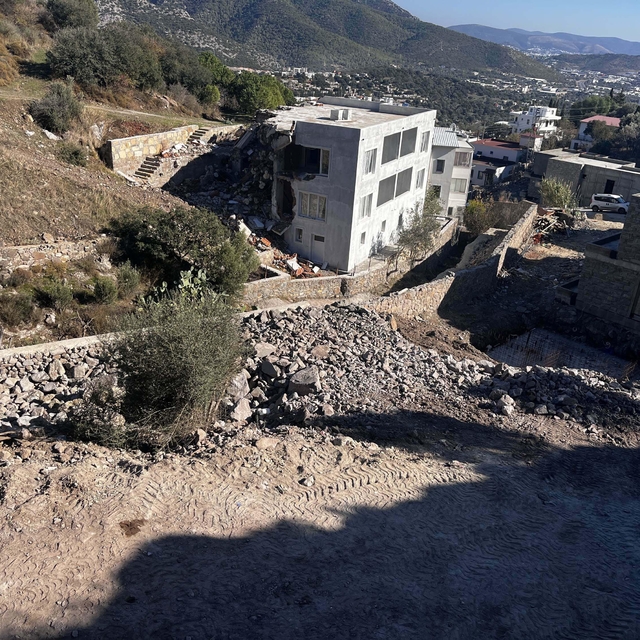 Şarkıcı Suavi'nin arazisinde kesilen ağaçlarla ilgili inceleme