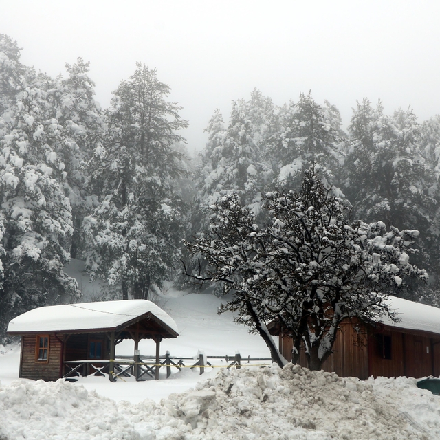 Abant Gölü Milli Parkı'nda kar güzelliği