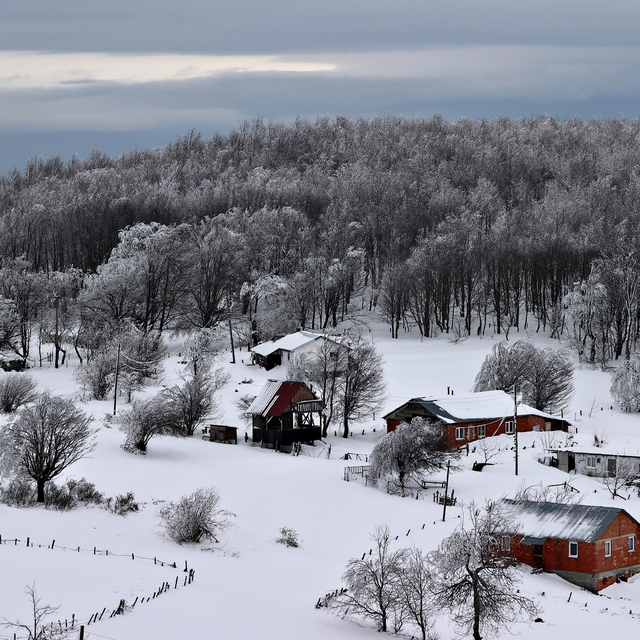 Doğaseverlerin uğrak noktası Kocadağ Yaylası beyaza büründü