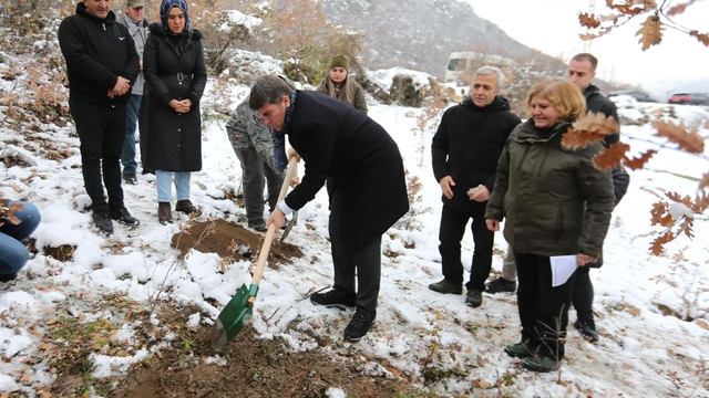 'Yitik lale' 132 yıl sonra ana vatanında toprakla buluştu