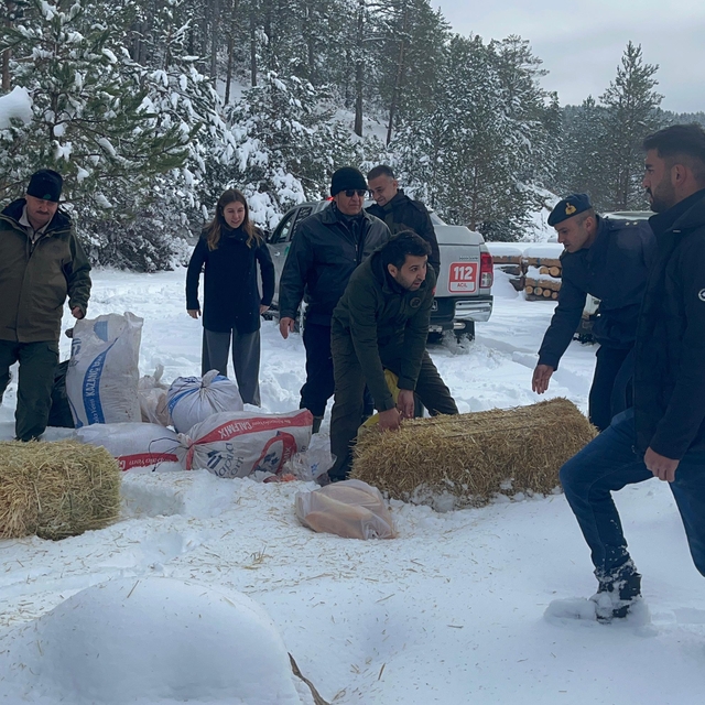 Çankırı'da karla kaplı araziye yabani hayvanlar için yem bırakıldı