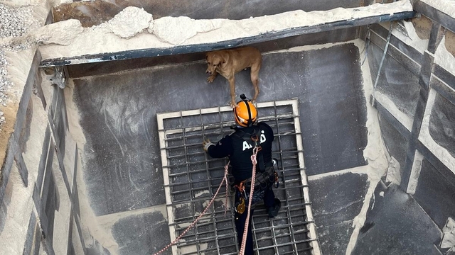 Amasya'da kum silosunda mahsur kalan köpek AFAD tarafından kurtarıldı