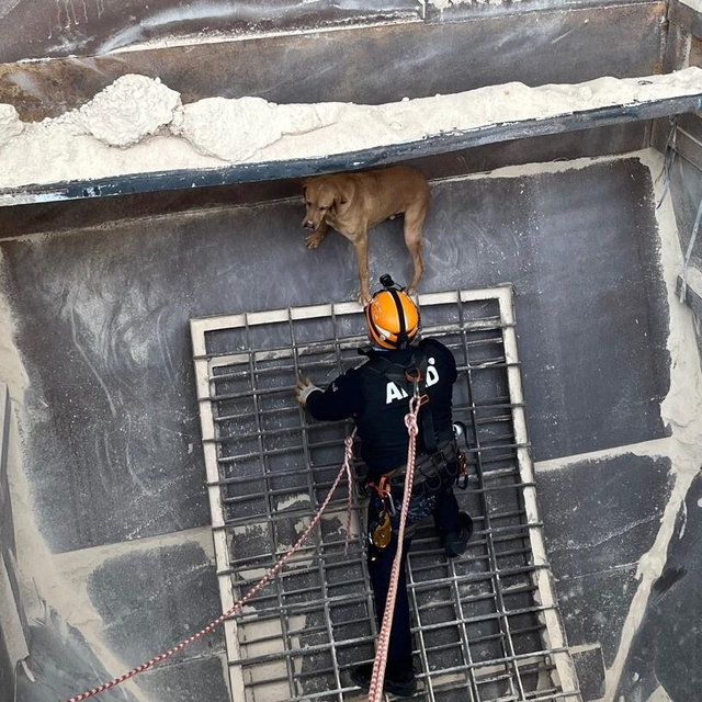 Amasya'da kum silosunda mahsur kalan köpek AFAD tarafından kurtarıldı