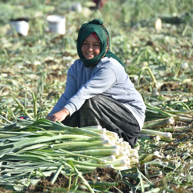 İzmir'de kuraklık arttı; kışlık sebze üretimi düştü