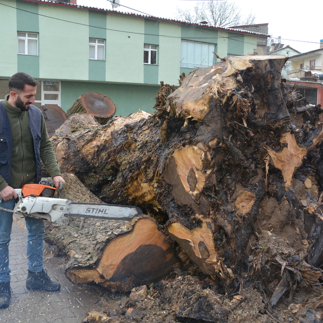 Bitlisli kardeşler, ceviz ağacını sanat eserine dönüştürüyor