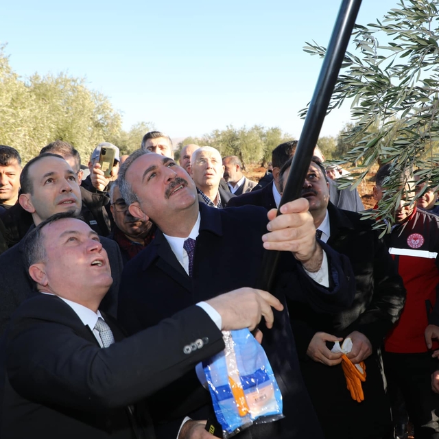 Nizip'te zeytin festivali düzenlendi